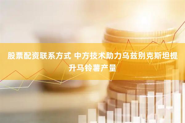 股票配资联系方式 中方技术助力乌兹别克斯坦提升马铃薯产量
