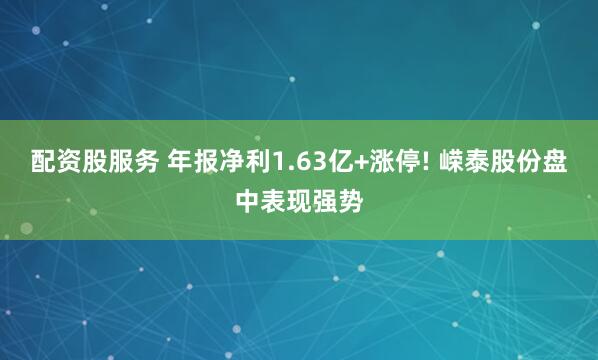 配资股服务 年报净利1.63亿+涨停! 嵘泰股份盘中表现强势