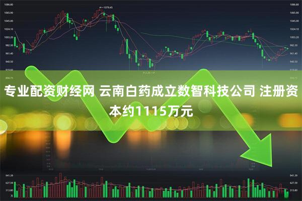 专业配资财经网 云南白药成立数智科技公司 注册资本约1115万元