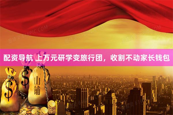 配资导航 上万元研学变旅行团，收割不动家长钱包