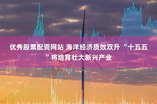 优秀股票配资网站 海洋经济质效双升 “十五五”将培育壮大新兴产业
